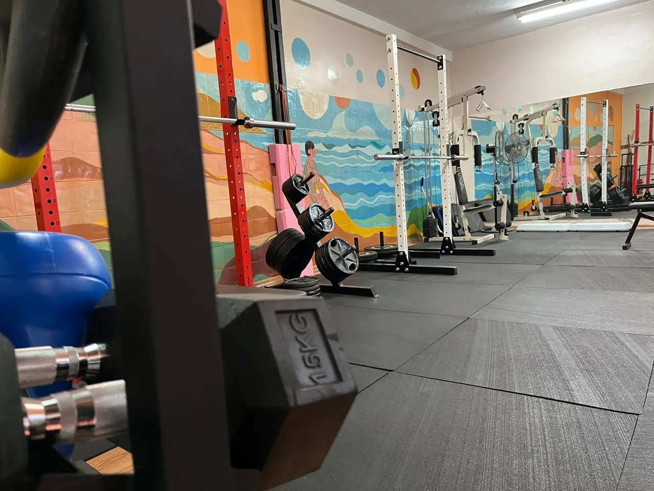 Interior del gimnasio